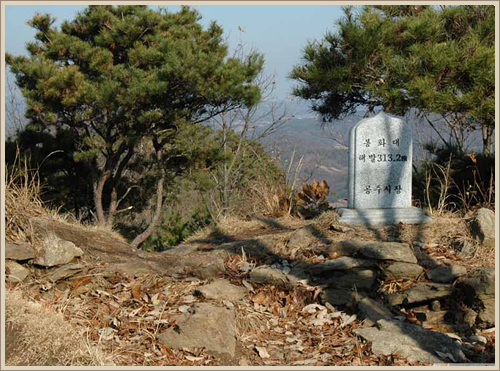 월성산 봉수대(月城山 烽燧臺)