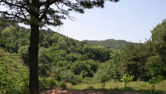 Wolseongsan Mountain