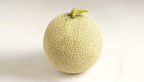 Melon