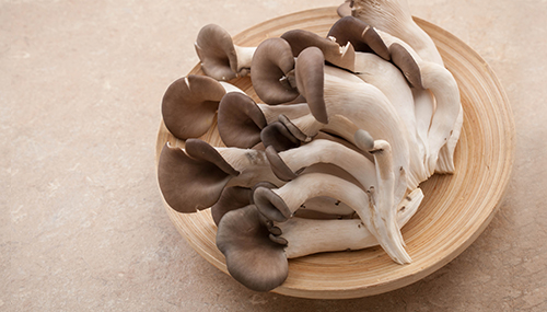 Oyster mushroom 