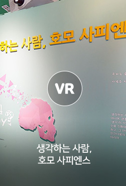 VR - 생각하는 사람, 호모사피엔스