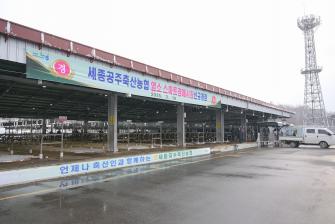 2025년 3월 18일 현장방문-세종공주축협 염소가축시장 개장 [공주시가축시장] 이미지