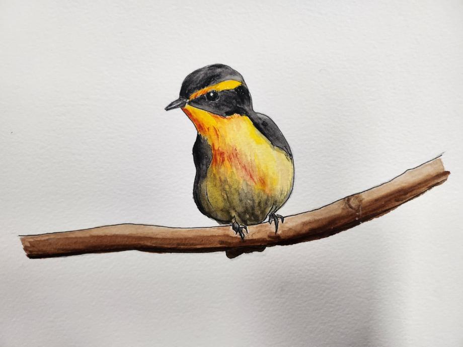 2025년 상반기 이인면  [쉽게 배우는 수채화] 이미지