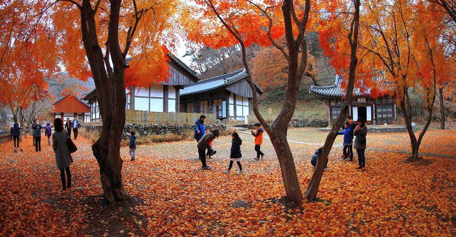 마곡사가을이야기 - 이가현 | 입선 이미지