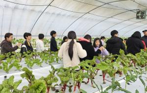 2025 마을학교‧마을축제 운영 공모사업