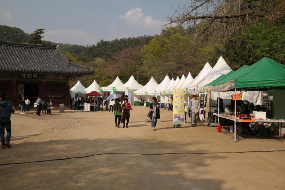 2025 마곡사 신록축제2